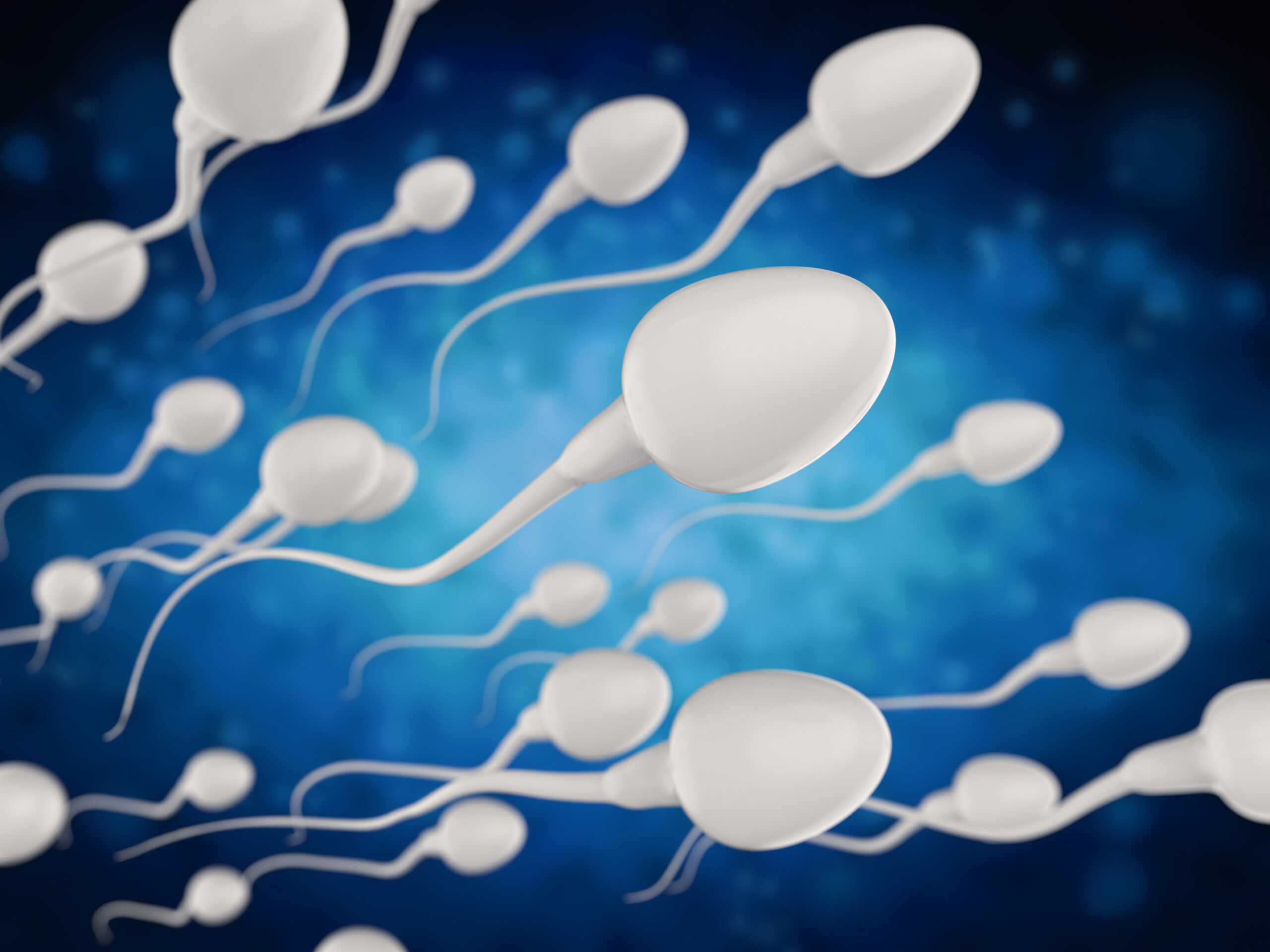 Inteligência artificial abre caminho à análise não invasiva de espermatozoides nos tratamentos de fertilidade