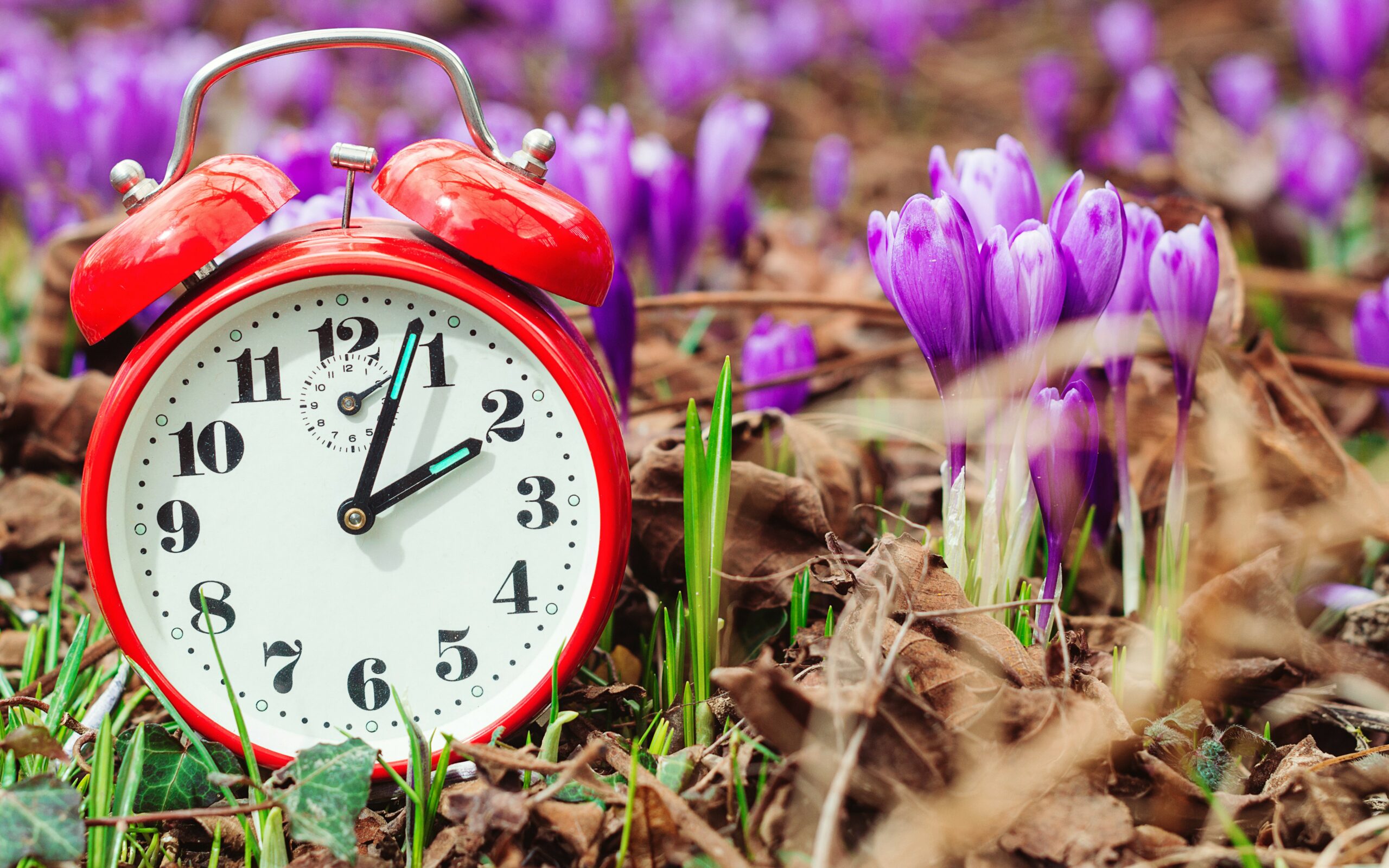 5 dicas para superar o “jetlag” da mudança da hora